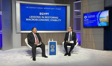 Egypt looks forward to mobilising sustainable finance for Africa’s public health: Finance Minister