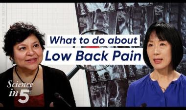 WHO’s Science in 5: Low back pain