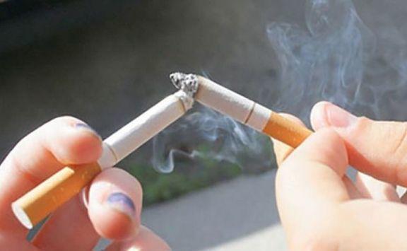 الحوارات: السمنة والتدخين سبب 40 % من السرطان بالاردن