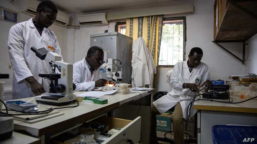 غانا.. أول دولة توافق على لقاح أكسفورد للملاريا