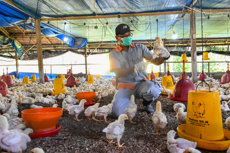 China reports first human death due to H3N8 bird flu