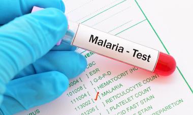 No malaria deaths recorded in past eight months