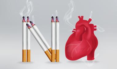 في اليوم العالمي لمكافحة التبغ.. منظومة إماراتية متكاملة تستهدف خفض أعداد المدخنين