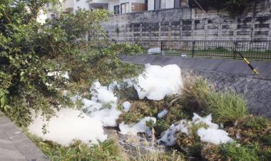 Japan slowly wakes up to health risks of PFAS ‘forever chemicals’