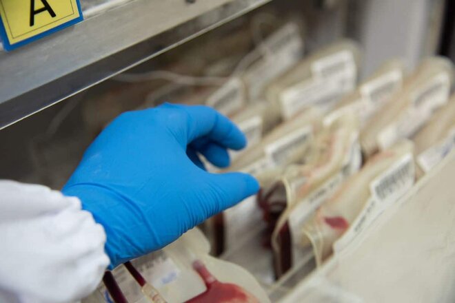 Kuwait expats must pay blood transfusion fee, says Health Ministry: Report