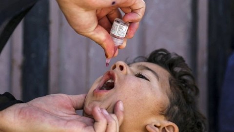 Super-engineered vaccines created to help end polio
