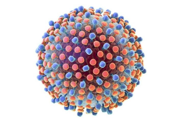 Is A Broadly Protective And Long Lasting Hepatitis C Vaccine Possible?