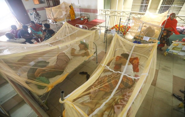 Two more dengue patients die in 24hrs; 180 hospitalized in Bangladesh 