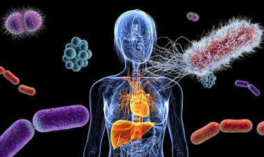 Biocodex Morocco To Host Scientific Conference on Microbiota's Importance for Human Health