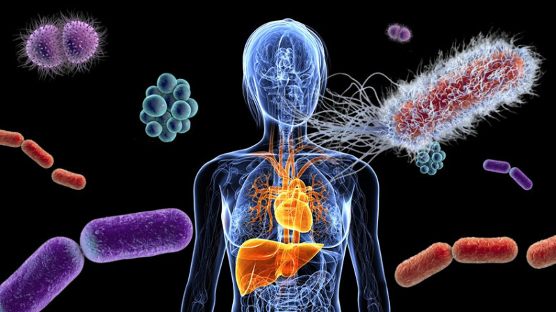 Biocodex Morocco To Host Scientific Conference on Microbiota's Importance for Human Health