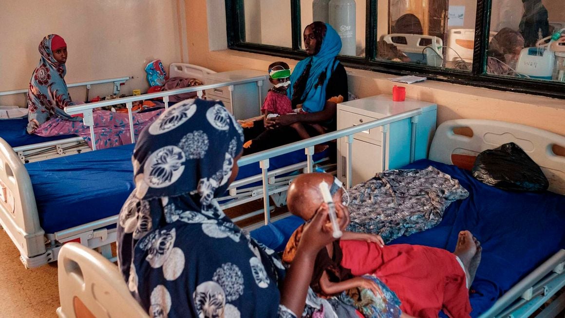 Saudi, UNFPA team up against child mortality in Somalia