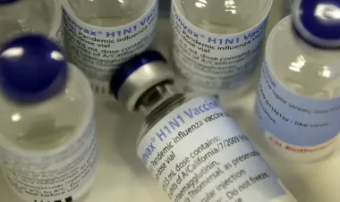 CDC will investigate sample from woman who reportedly died of swine flu in Brazil