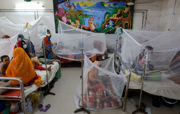 Bangladesh sees two more dengue deaths, 323 hospitalizations in 24hrs