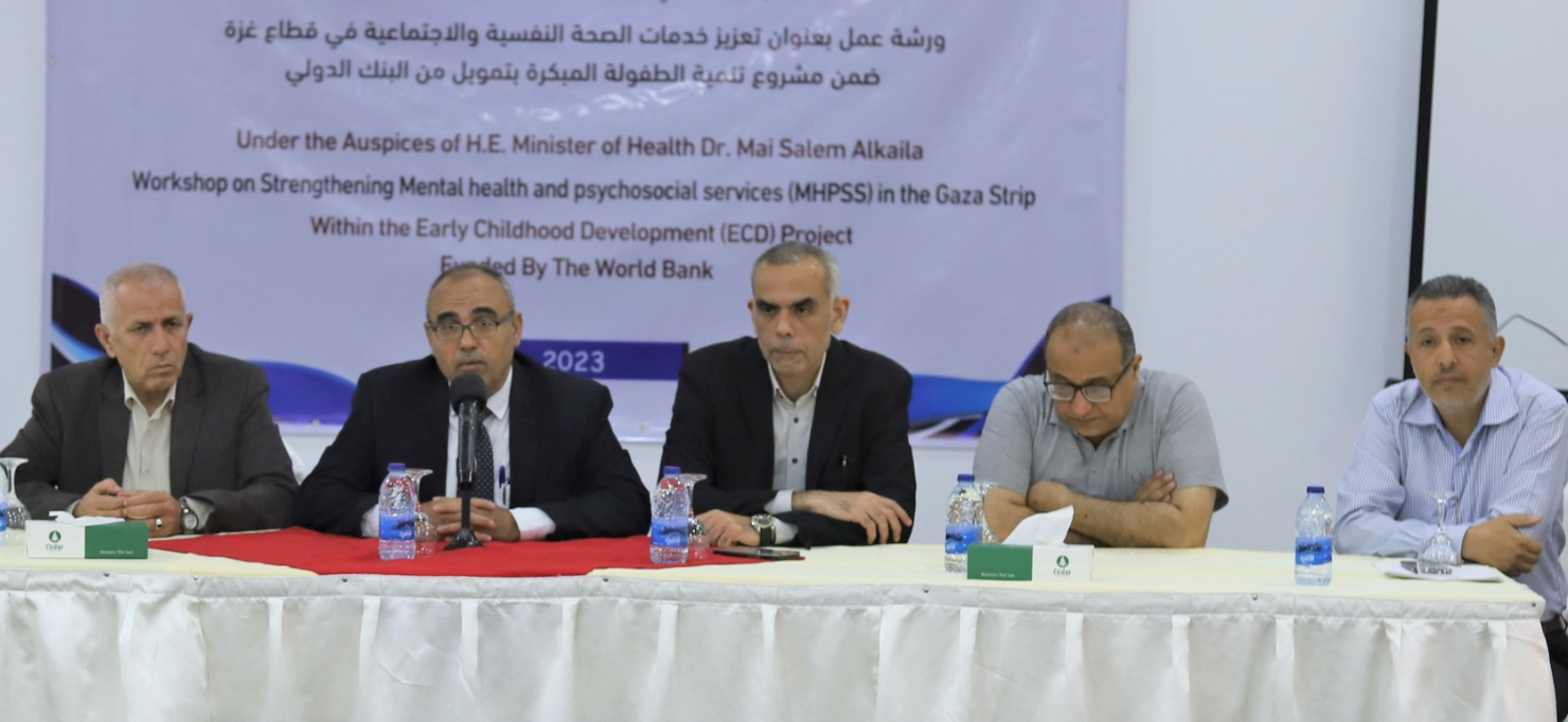 M0H- Gaza: Workshop on Strengthening Mental Health Psychological Services (MHPSS)
