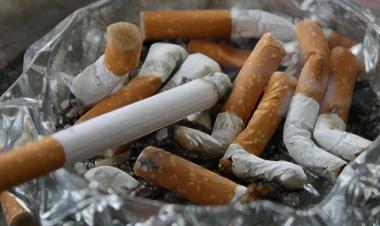 Qatar spends least on tobacco products among Arab countries: research