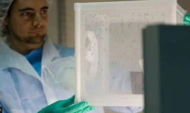 الصُدفة تقود إلى اكتشاف علمي يساعد في محاربة الملاريا