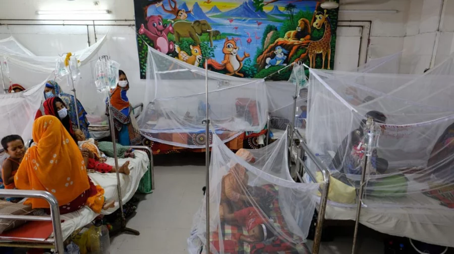 Dengue: Death toll rises to 593 with 17 more deaths in Bangladesh