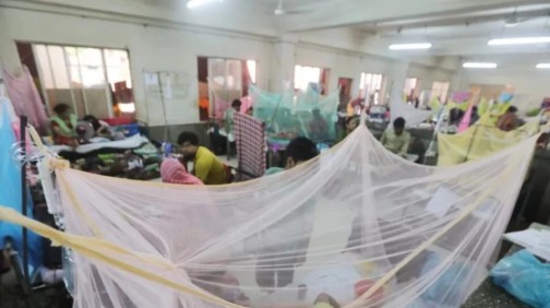 DGHS fears record dengue cases in August - Bangladesh