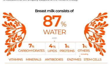 Infographic: Breastfeeding benefits and challenges