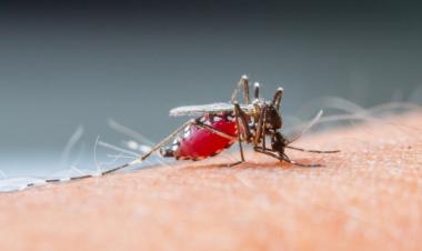 Malaria on the rise in South Korea
