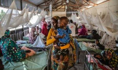 North Darfur malaria cases soar to 13,000 amid medicine shortage - Sudan