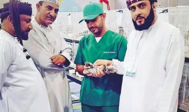 Omani specialist wins ‘best vet in GCC’ award