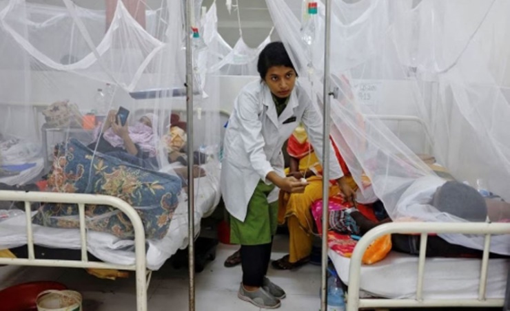 ارتفاع قياسي بإصابات حمى الضنك في باكستان