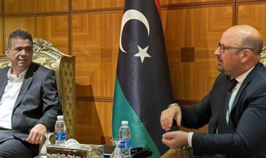 Minister of Health discusses launching joint plan with WHO - Libya