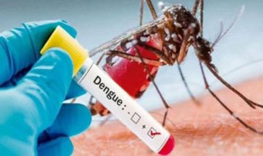 97 new dengue cases appear - Pakistan 