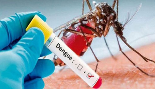 97 new dengue cases appear - Pakistan 