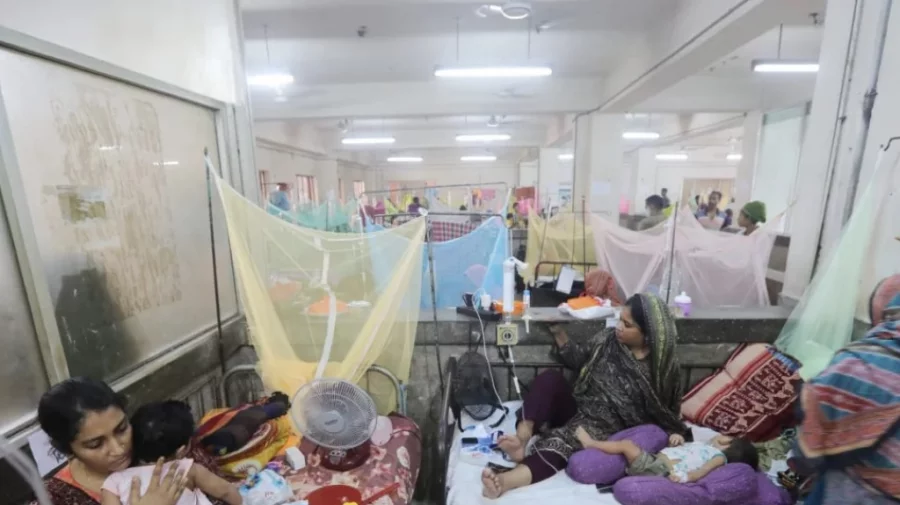Bangladesh reports zero dengue deaths, 42 new cases in 24hrs