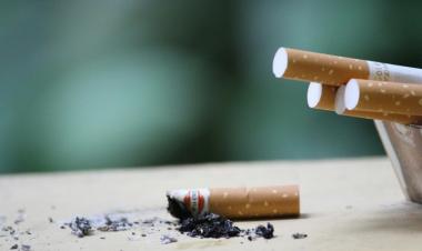 WHO Report: Morocco 7th in Africa for Tobacco Consumption