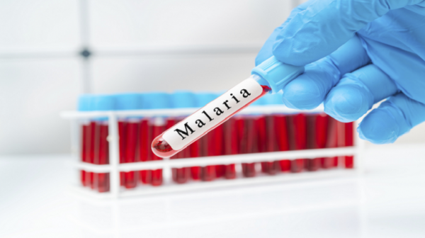 اكتشاف قدرة فريدة في جهاز المناعة على مكافحة الملاريا