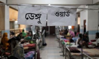 20 more dengue patients hospitalised in 24hrs - Bangladesh 