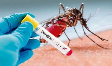 14 dengue patients hospitalised in Bangladesh 