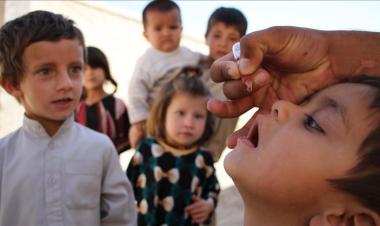Afghanistan launches Polio Vaccination campaign