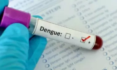  11 more dengue patients hospitalized in 24hrs in Bangladesh 