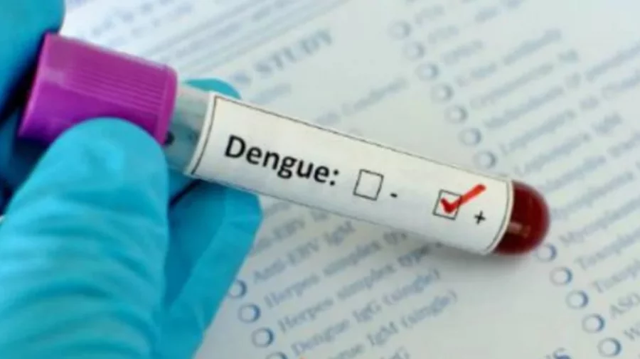  11 more dengue patients hospitalized in 24hrs in Bangladesh 