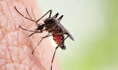 Dengue fears surge as temperature starts to soar - Bangladesh 