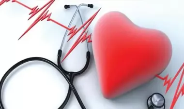 Experts urge to improve cardiovascular health by strengthening primary healthcare in Bangladesh 