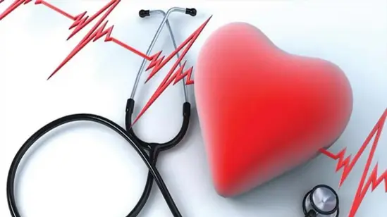 Experts urge to improve cardiovascular health by strengthening primary healthcare in Bangladesh 