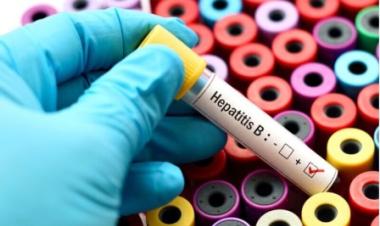 Hepatitis B control program to be implemented in Iran 