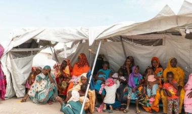 Displaced people in Eastern Sudan need urgent assistance: MSF