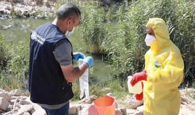 WHO commends Iraq’s world-first in polio transition