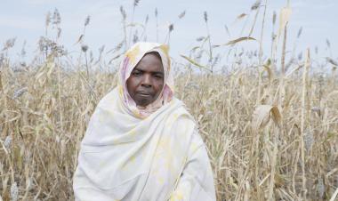 السودان: منظمة الأغذية والزراعة تصدر تحذيرًا صارخًا بشأن نطاق الجوع 
