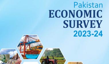 Pakistan achieves significant progress in healthcare infrastructure: Economic Survey