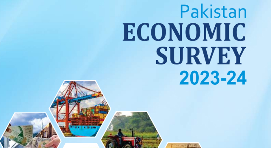 Pakistan achieves significant progress in healthcare infrastructure: Economic Survey