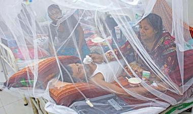One dies of dengue, 51 hospitalised in 24 hours in Bangladesh