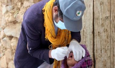 Afghanistan records 11 new polio cases in eight months: WHO