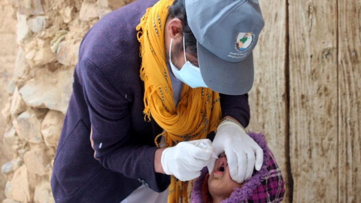 Afghanistan records 11 new polio cases in eight months: WHO